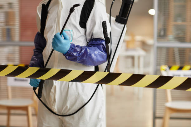 Professional Sewage Cleanup technician working in Saugatuck, CT